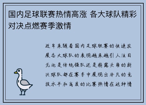 国内足球联赛热情高涨 各大球队精彩对决点燃赛季激情